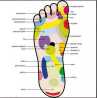 Masseur de Pied en Bois - Rouleau de Massage Drainage Lymphatique et Relaxation